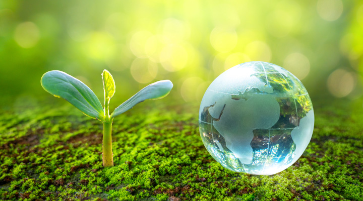 サステナビリティの取り組み