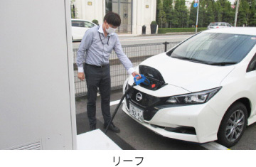 リーフ